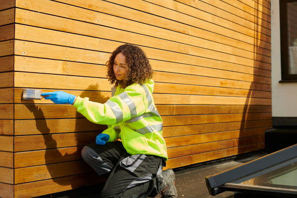 Best Siding Painting and Refinishing  in North Salt Lake, UT